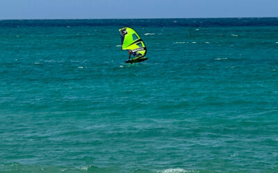 Unleash Your Inner Bird: Learn Wing-Foiling in Paradise